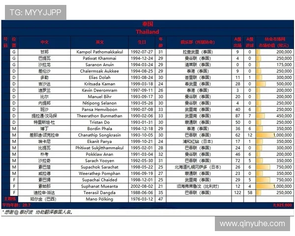 2026年世界杯入围国家全名单及其备战情况深度解析