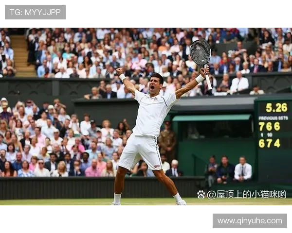 网球巨星复出之路：费德勒、纳达尔与德约科维奇的赛场新篇章