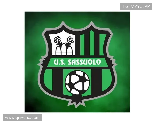 萨索洛俱乐部崛起之路探秘绿黑军团如何在意甲谱写全新传奇